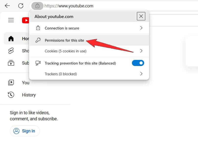 Permission for this site